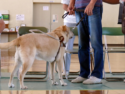 身体障害者補助犬支援事業